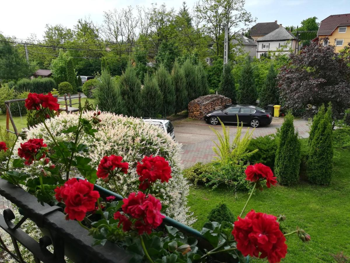 Voelgy Apartman Eger Exterior photo